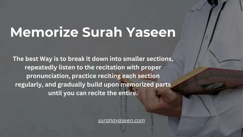 How to memorize Surah Yaseen – Easy steps to learn and remember with proper recitation