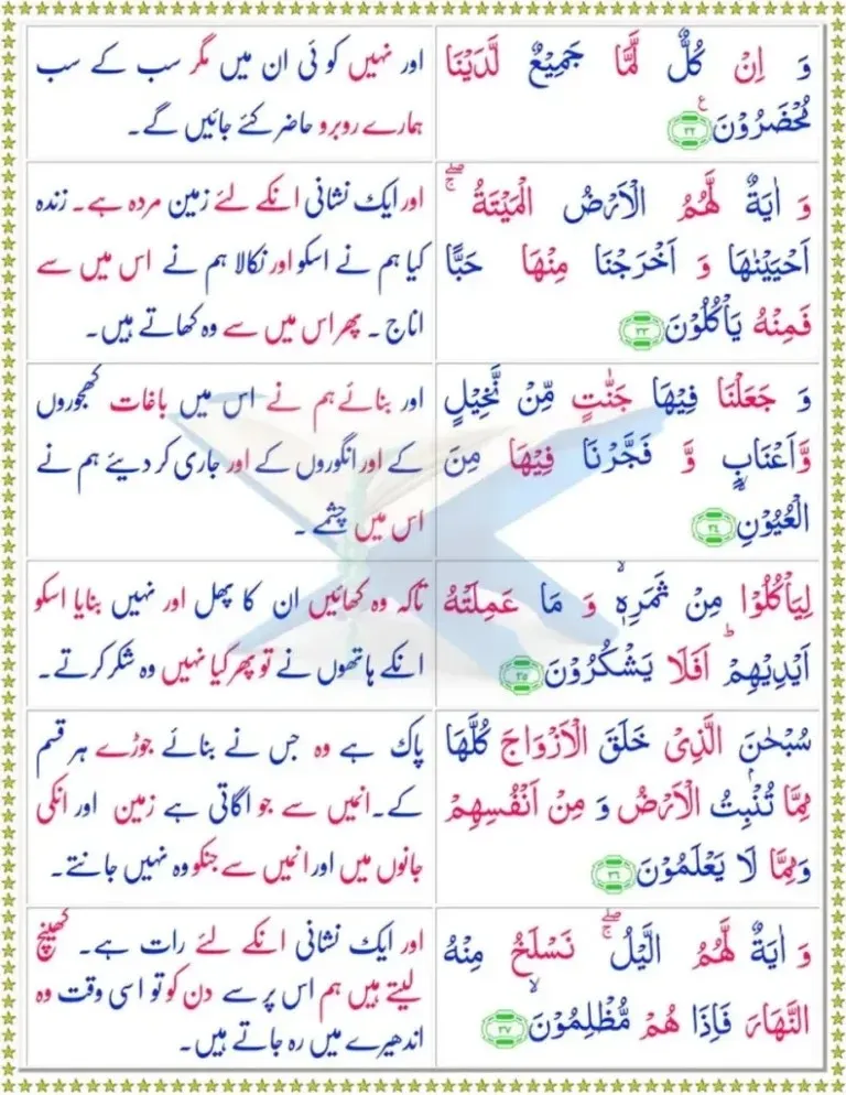 Surah Yaseen page 6 with Urdu translation, signs in earth, fruits, pairs, and night