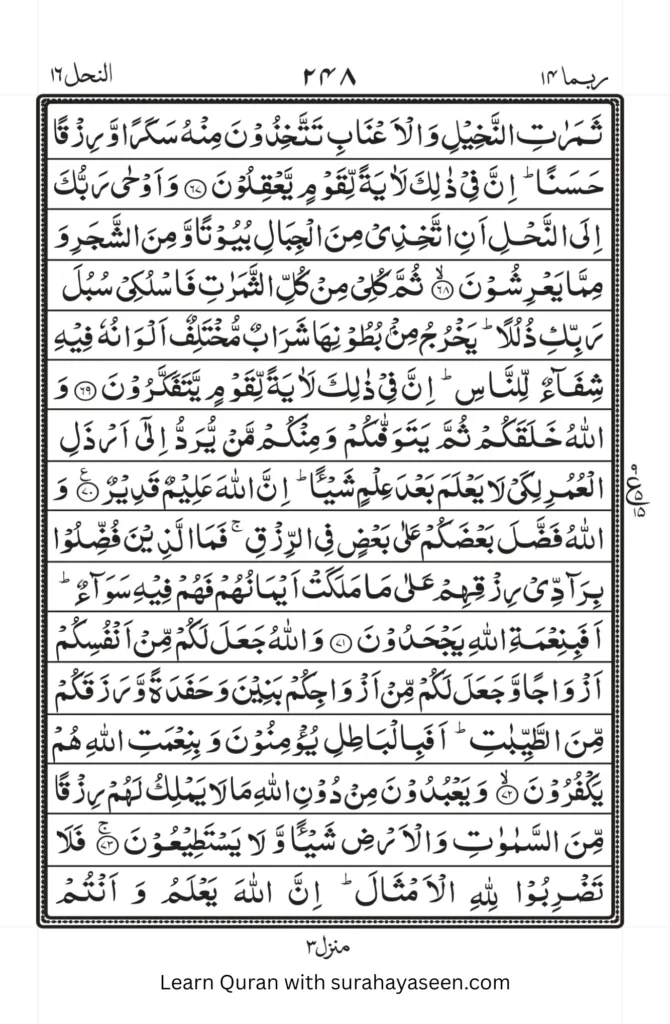 Surah Nahl 8